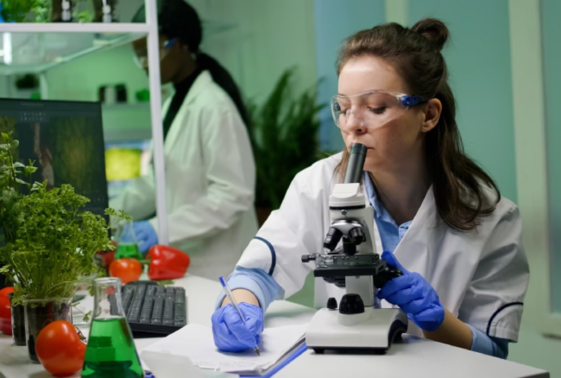 Earth and Environmental Science with AI Tools